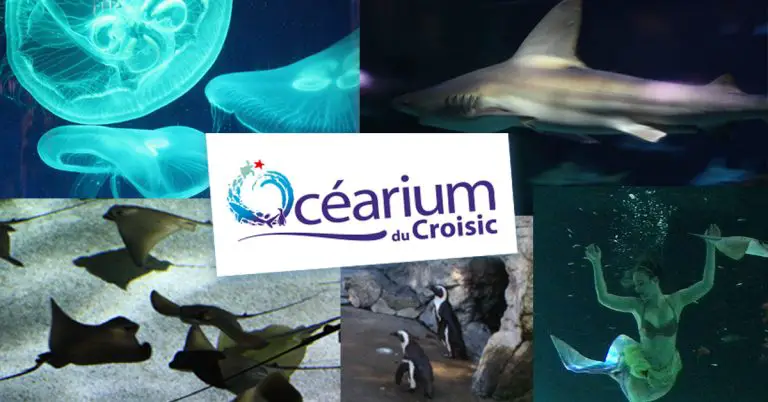 Ocearium Aquarium Du Croisic Loire Atlantique Rdvludique