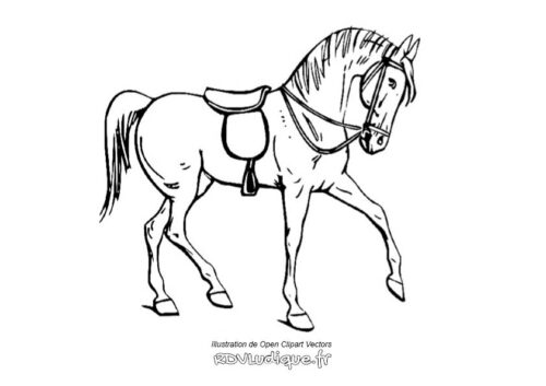 Coloriage Cheval Dessin Cheval A Imprimer 11 RDVLudique