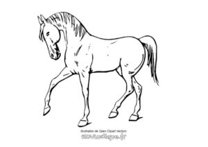 Coloriage Cheval Dessin Cheval A Imprimer Rdvludique