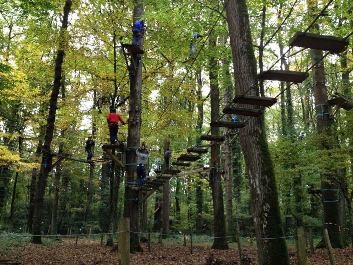 ACROCIME Parcours Accrobranche En For t Carquefou RDVLudique ACROCIME Parcours Accrobranche En For t Carquefou RDVLudique