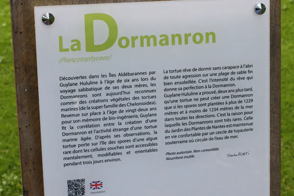 Explication de Claude Ponti sur le Dormanron