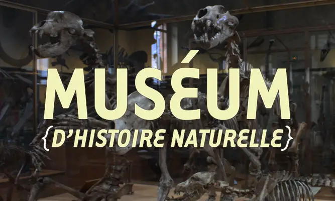 Muséum d'histoire Naturelle nantais // Nantes