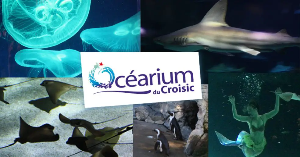 Océarium - Aquarium du Croisic // Parc animaux aquatiques Loire Atlantique