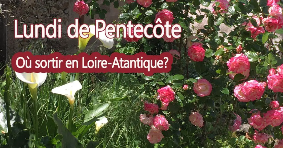 Lundi férié de la pentecôte idées de sorties LoireAtlantique Lundi férié de la pentecôte idées de sorties LoireAtlantique
