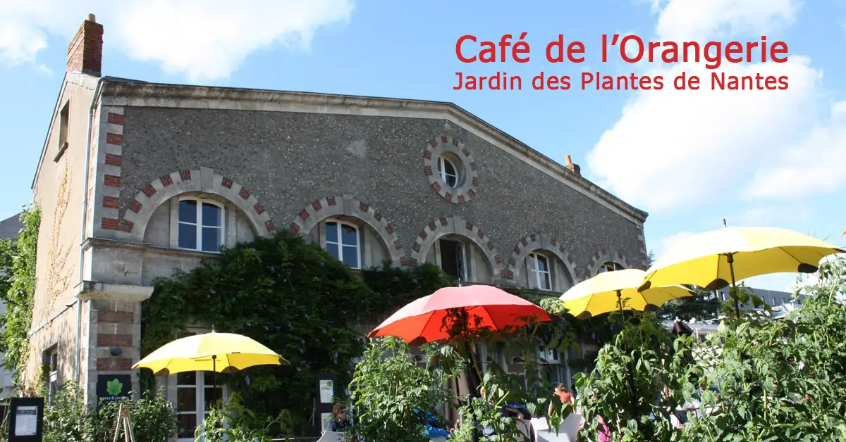 Café de l'orangerie - Jardin des plantes | Nantes