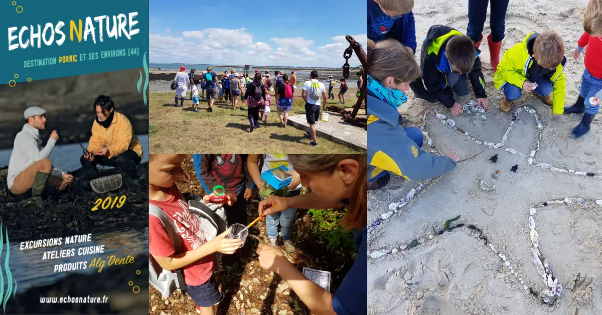 balade et excursion sur la plage avec guide