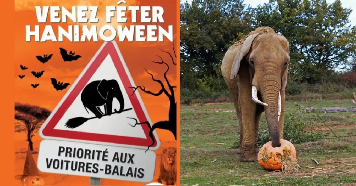 halloween 2019 a planete sauvage