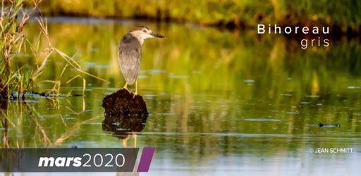 sortie Nature en Loire-Atlantique 44
