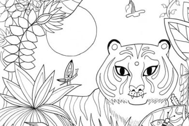Tigre - à colorier - dessin