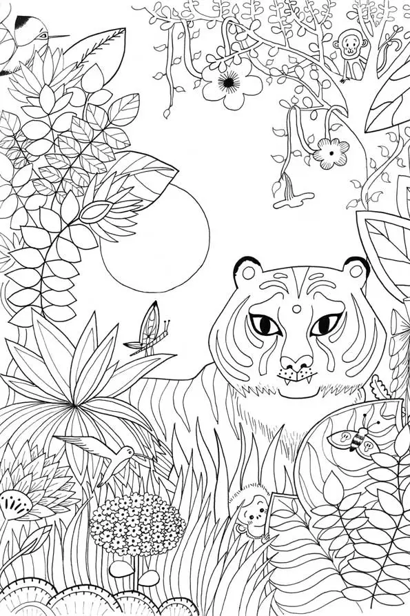 Tigre - à colorier - dessin