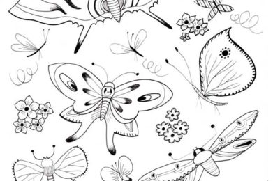 Papillons et chenilles à colorier