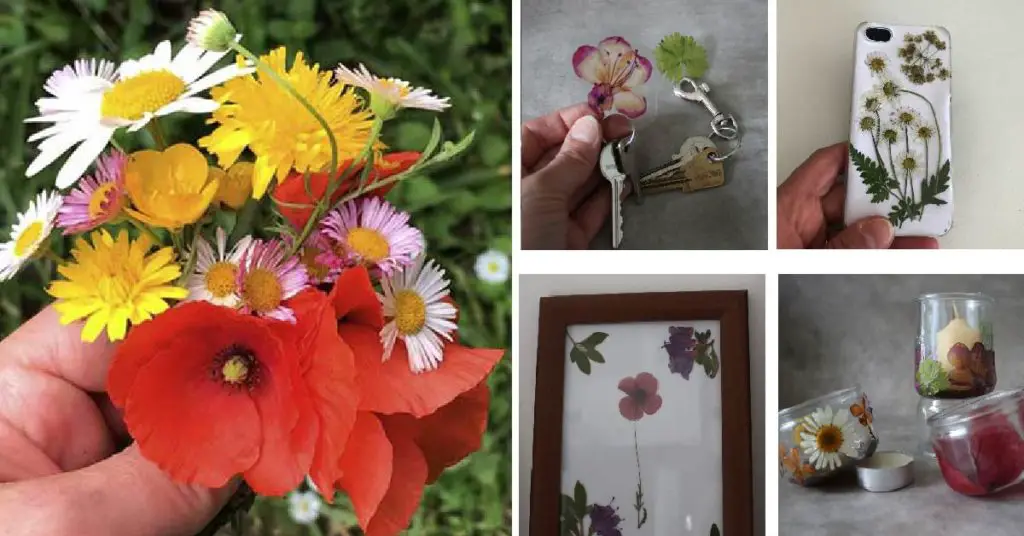 Petit bricolage avec des fleurs séchées // Activité déco & création