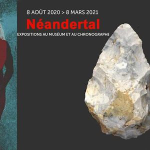 néandertal muséum nantes