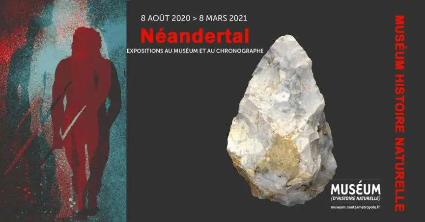 néandertal muséum nantes