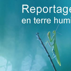 expo photo carquefou marais nature