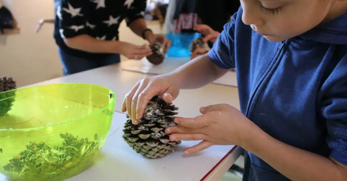Comment fabriquer une boule de graisse pour les oiseaux ? // DIY Nature