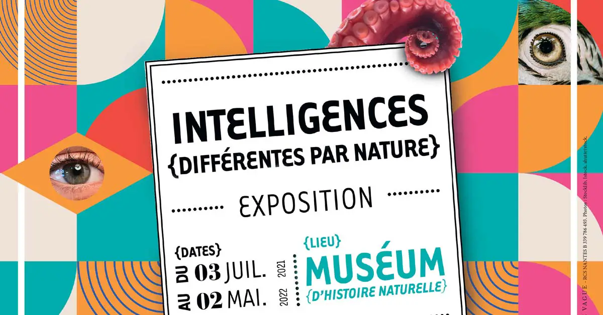 "Intelligences, différentes par nature" - Exposition // Nantes
