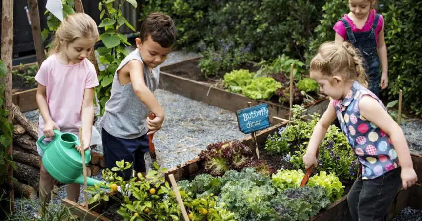 Jardiner - faire un potager en famille avec les enfants