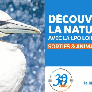 Sortie Nature LPO Loire-atlantique Nantes