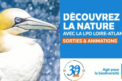 Sortie Nature LPO Loire-atlantique Nantes