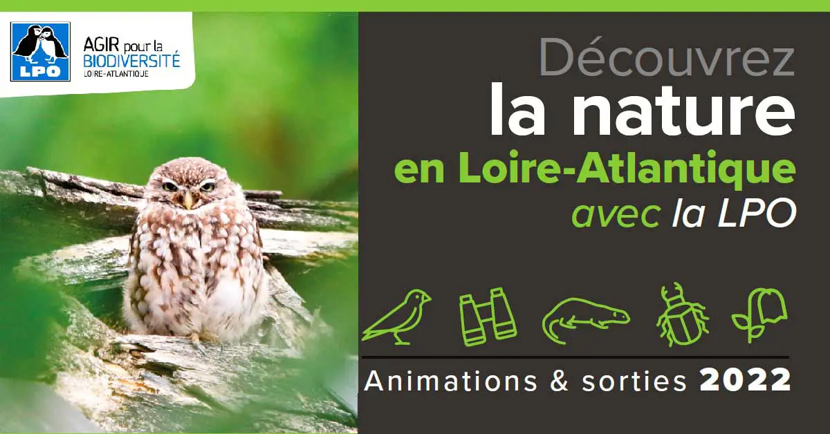 Les sorties Nature avec la LPO // Nantes et Loire-Atlantique