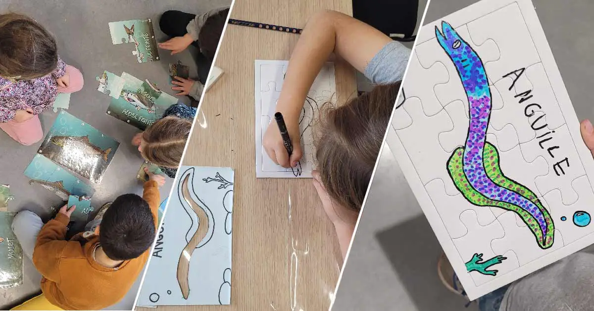 Atelier créatif 4-12 ans sur les animaux de l'estuaire