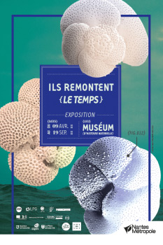 nuit musée - museum histoire naturelle 2022