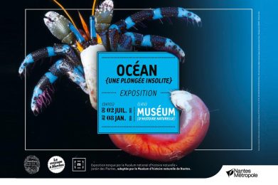 ocean exposition expo nantes musee museum histoire naturelle Nantes