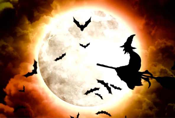 terre estuaire - animation enfant gratuit halloween 2022 nantes potion magique