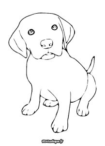coloriage chien bébé chiot dessin à colorier