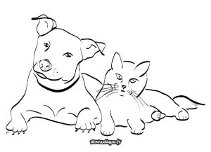 coloriage - dessin chien chat colorier et imprimer