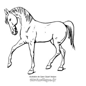 Coloriage cheval - Dessin cheval a imprimer - 12