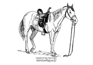 dessin cheval sans cavalier avec selle prêt pour la balade