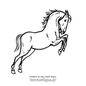 Coloriage cheval - Dessin cheval a imprimer - 8