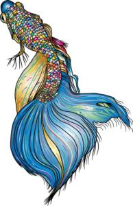 dessin poisson colorié