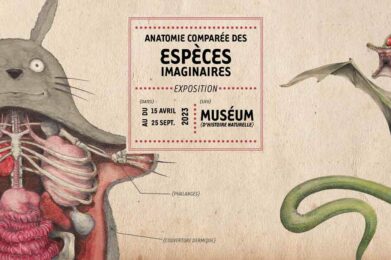 exposition nantes especes imaginaire anatomie comparée