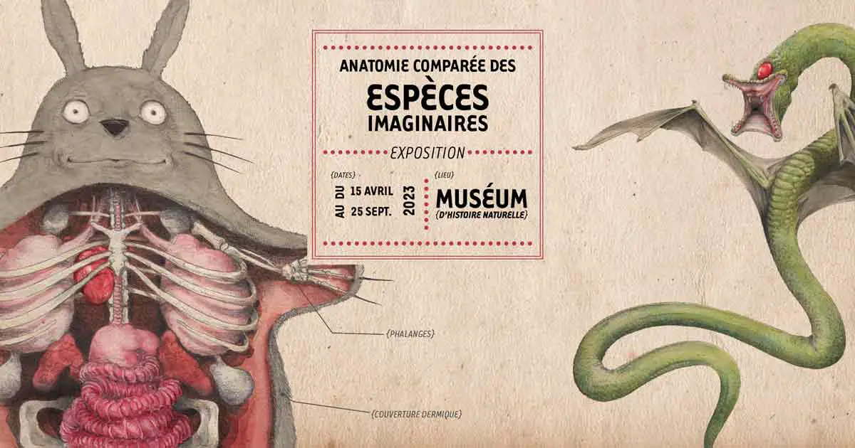 "Anatomie comparée des espèces imaginaires" - Exposition à Nantes