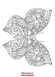 coloriage mandala; mandala animaux ; papillon; butterfly