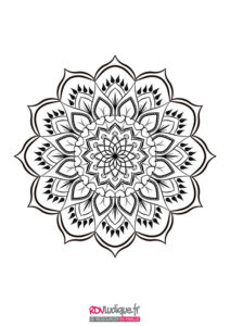 mandala ; coloriage mandala; mandala fleur; mandala moyen