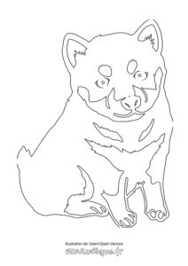 coloriage chien dessin chiot à colorier