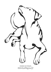 Coloriage chien dessin à colorier