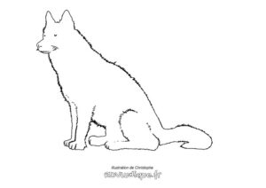 Coloriage chien dessin à colorier silhouette animal assis
