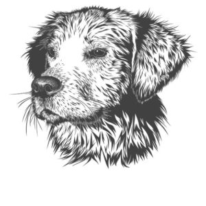 Coloriage chien - Dessin chien a imprimer - 18