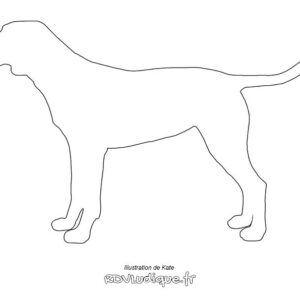 Coloriage chien - Dessin chien a imprimer - 19