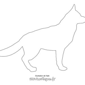 Coloriage chien - Dessin chien a imprimer - 20