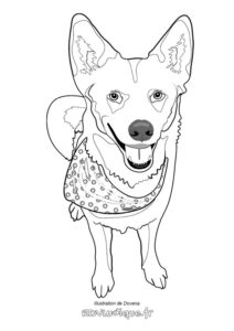 Coloriage chien dessin chiot vue de face avec foulard autour du cou