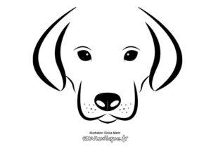 Coloriage chien dessin - tête vue de face - coloriage maternelle
