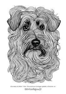 Coloriage chien dessin tête avec effet graphique tracé des poils